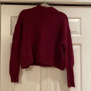 American Eagle Cropped Turtleneck